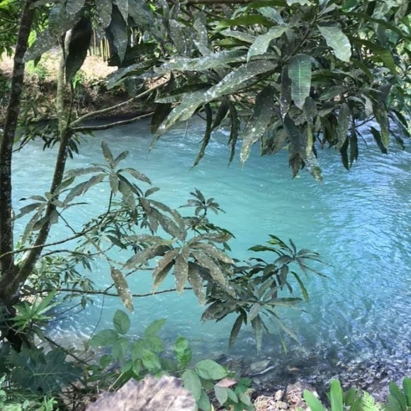 Pics posting soon! - Picture 2 of 4